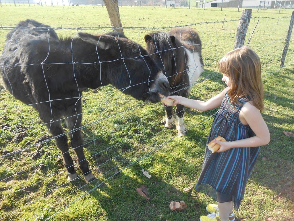 La Ferme Des 3 Suissesses Bed and Breakfast Saint-Paul  Exteriör bild